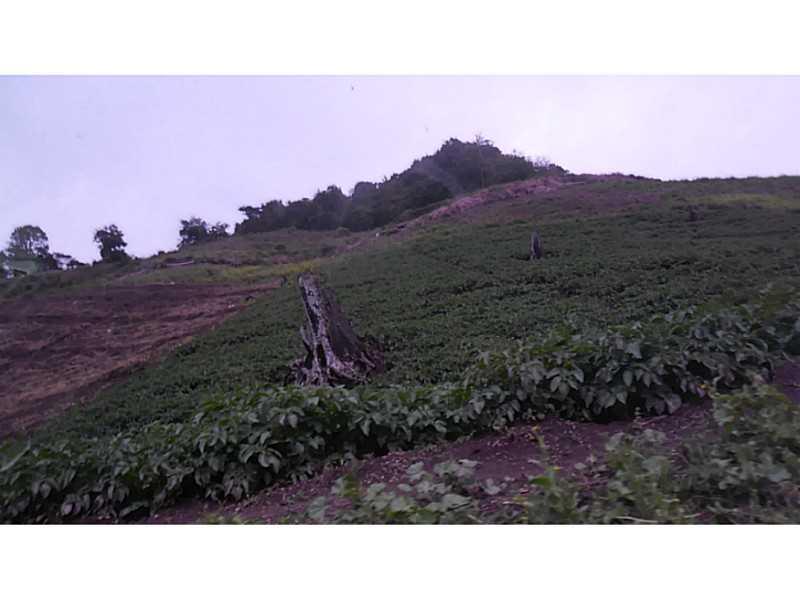 Cerro Punta, Panama - Land
