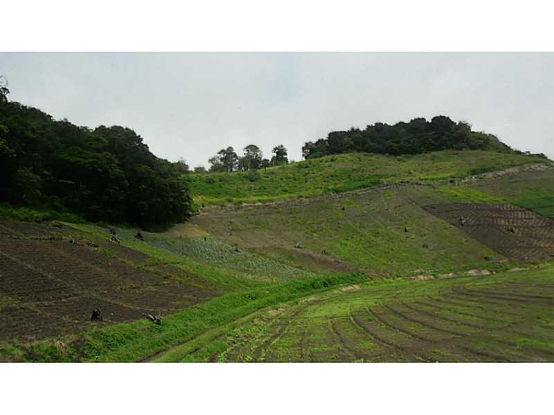 Cerro Punta, Panama - Land