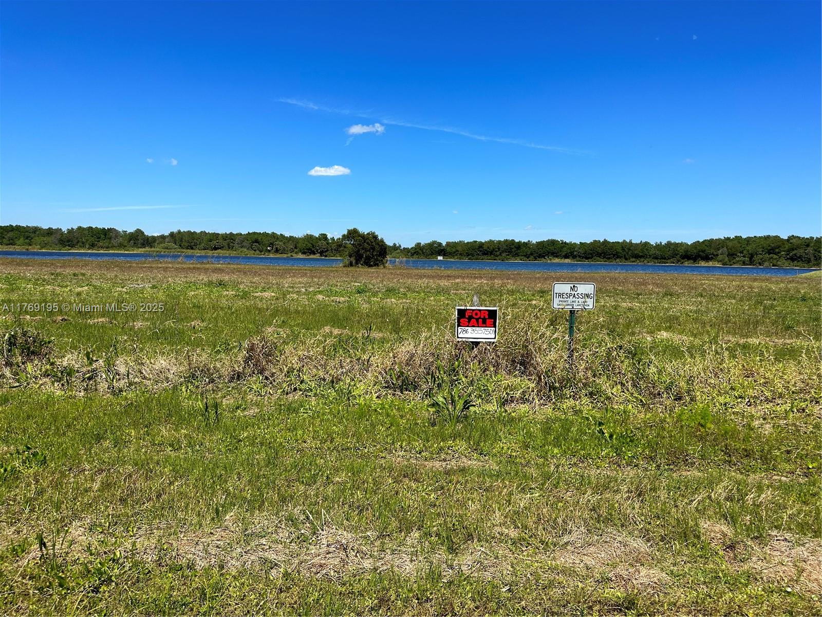 EXCLUSIVE LAKE FRONT LOT WITH PRIVATE LAKE ACCESS, PERFECT FOR WEEKEND GETAWAYS OR RETIREMENT LIVING. PRE-CONSTRUCTION PROJECT ON SADDLE BROOK COMMUNITY. 60,000+ ACRE LAND BACKYARD IS A NATURAL RESERVE. BIRD ROOKERY SWAMP IS PRESERVED AND PROVIDES A SANCTUARY FOR AT LEAST 45 KINDS OF BIRDS, INCLUDING SOME PROTECTED AND THREATENED SPECIES. BEAUTIFUL, PEACEFUL AND QUIET AREA. Won’t last! Last lot available waterfront! Also Pre- Construction home available 5,699 Sqft p5 Beds/ 4.5 Baths+ Office, pool, spa, steam room and much more $3,750,000
Saddlebrook Lakes Exclusive Community HOA Paid yearly.