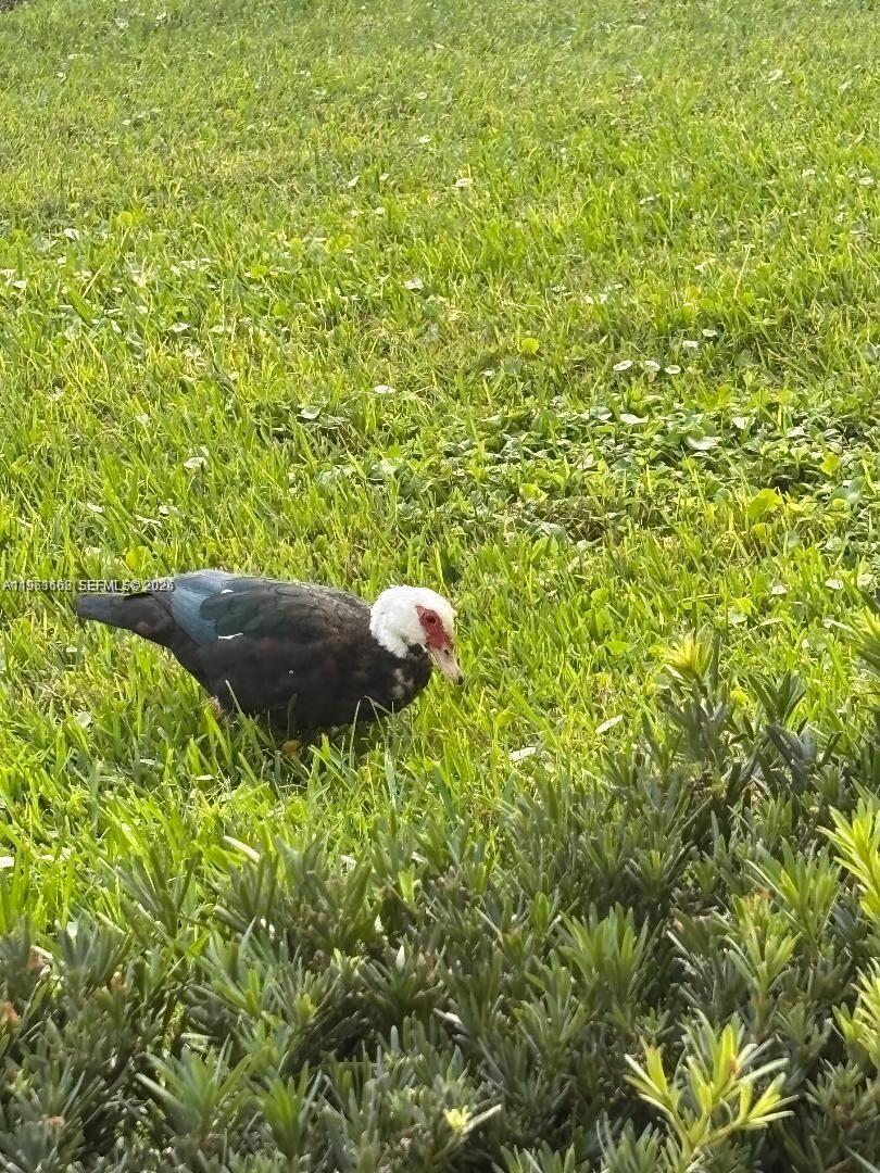 DORSET AT CENTURY VILLAGE - Residential