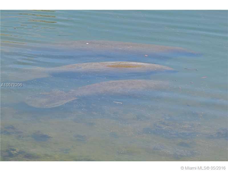 Point East Condo Sec 04 - Residential Lease