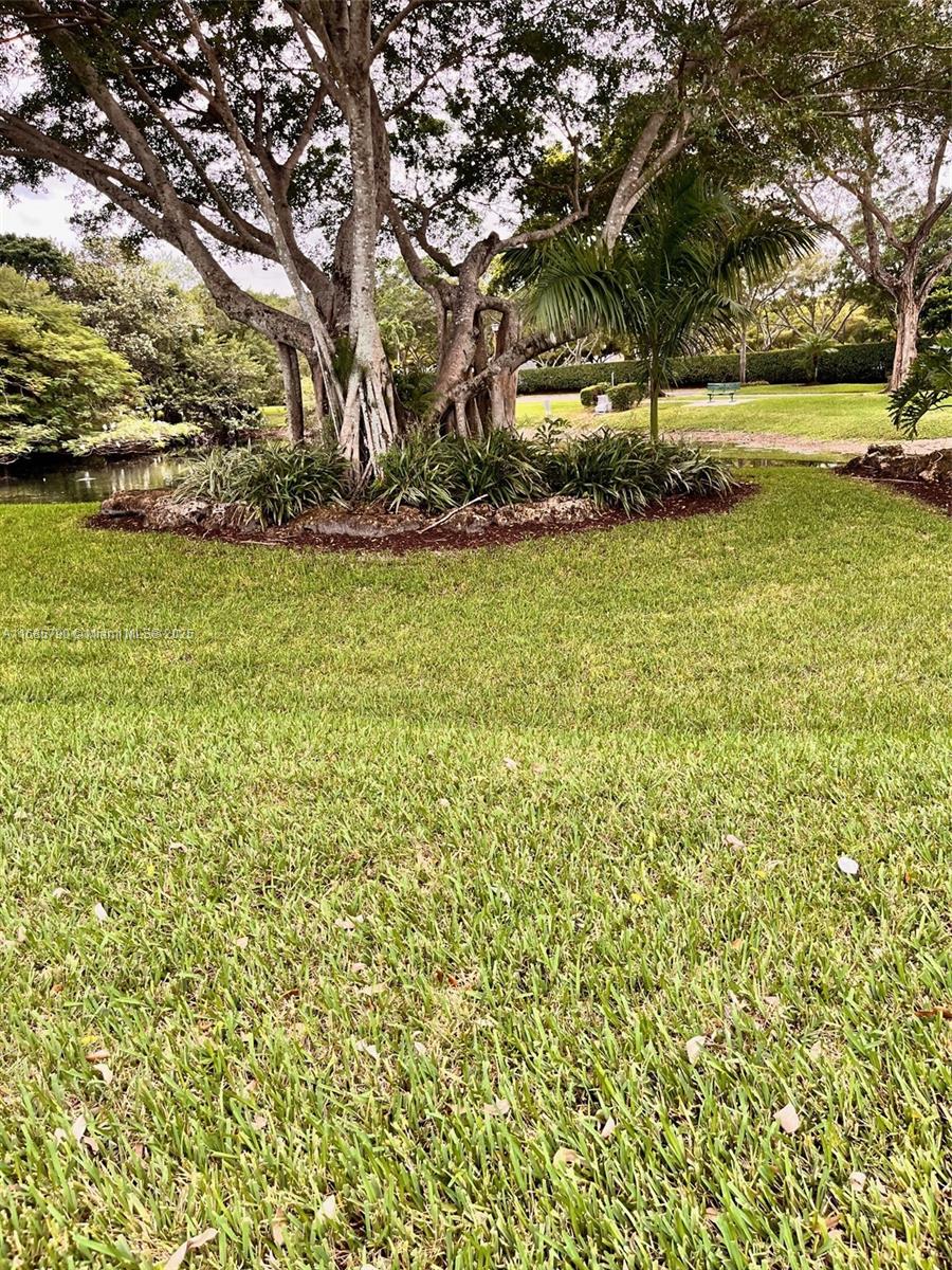 Banyan Springs - Residential