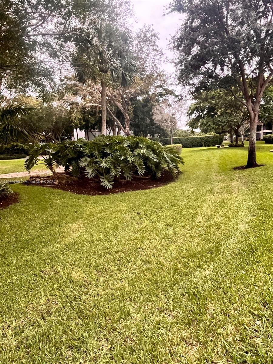 Banyan Springs - Residential