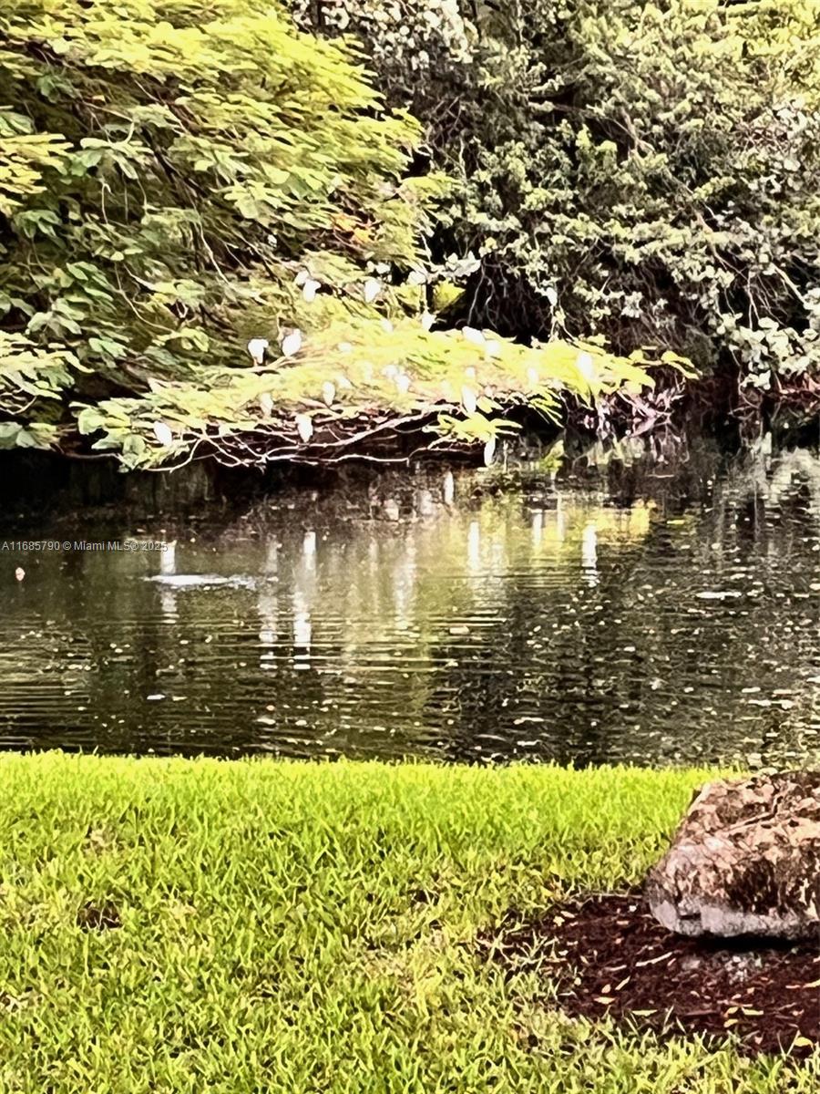 Banyan Springs - Residential