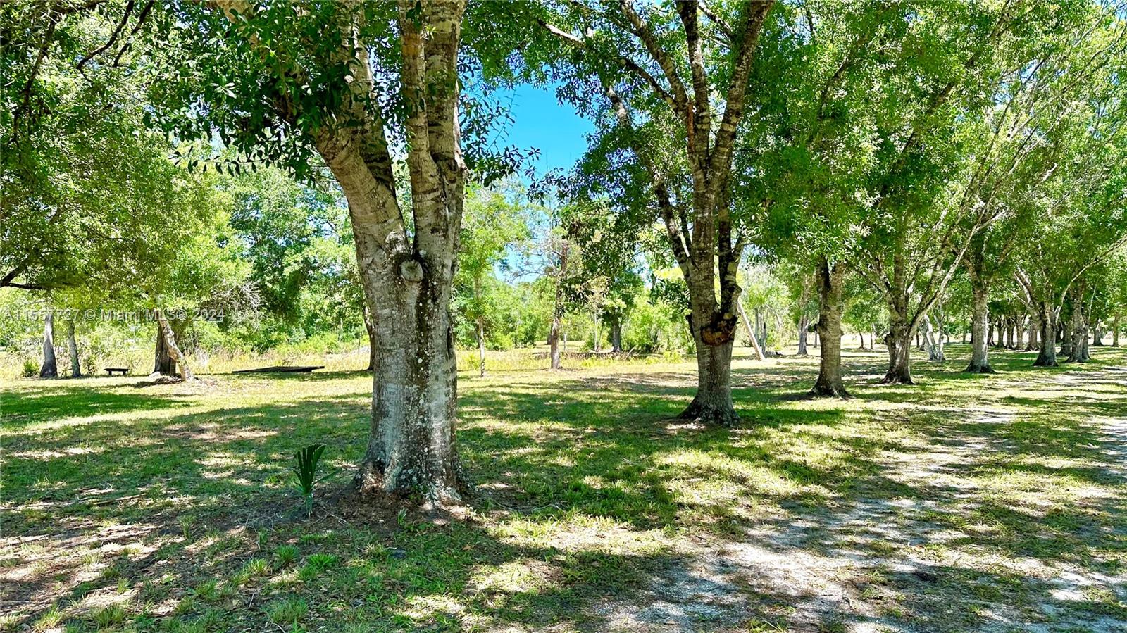 LAKE MONTAZA ESTATES - Residential