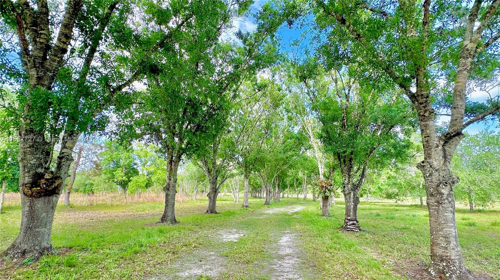 LAKE MONTAZA ESTATES - Residential