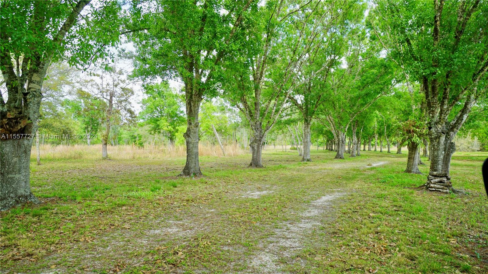 LAKE MONTAZA ESTATES - Residential