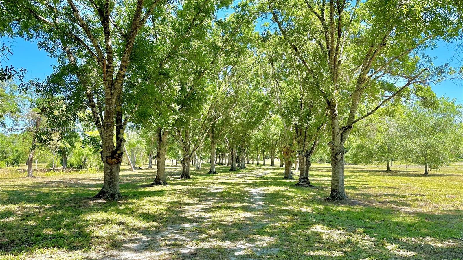 LAKE MONTAZA ESTATES - Residential