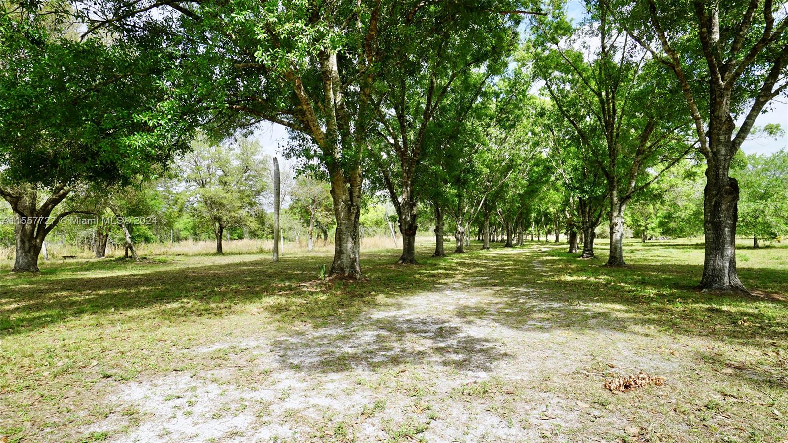 LAKE MONTAZA ESTATES - Residential