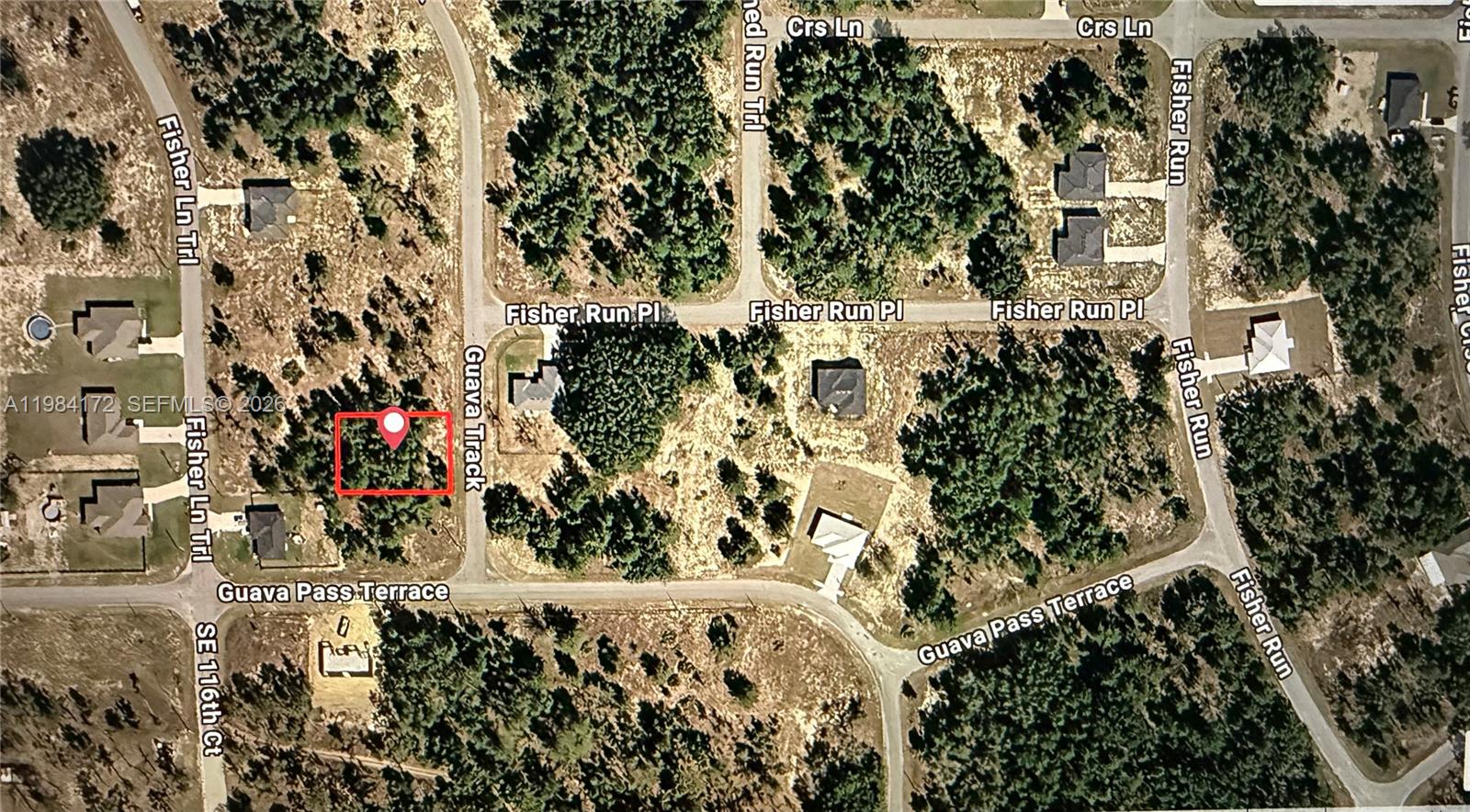 SILVER SPRINGS SHORES - Land