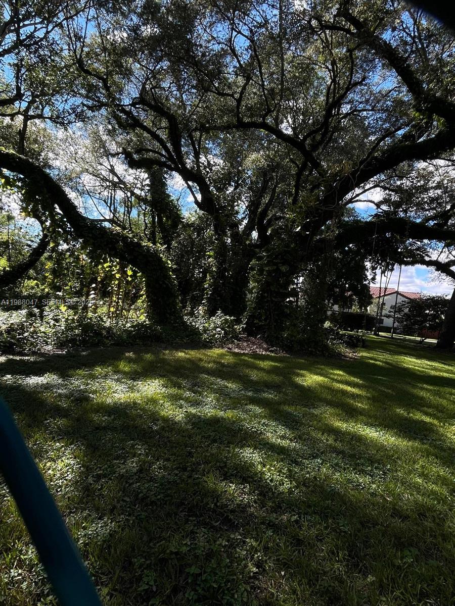 SUMMERTREE VILG CALIF CL - Residential