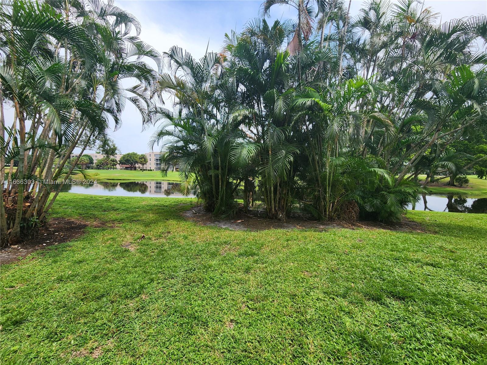 LIVE OAK CONDO TWELVE - Residential