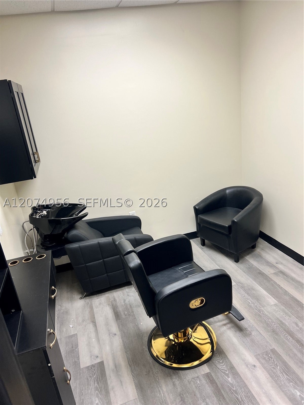 873 E Bloomingdale's ave
