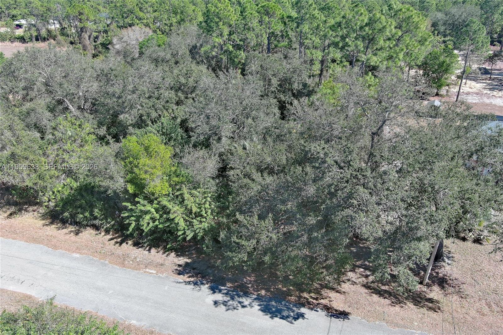 LEHIGH ACRES - Land