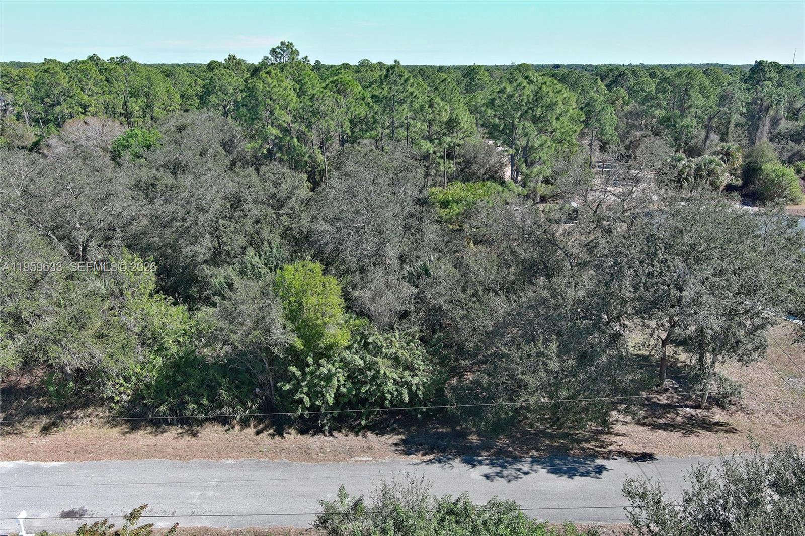 LEHIGH ACRES - Land