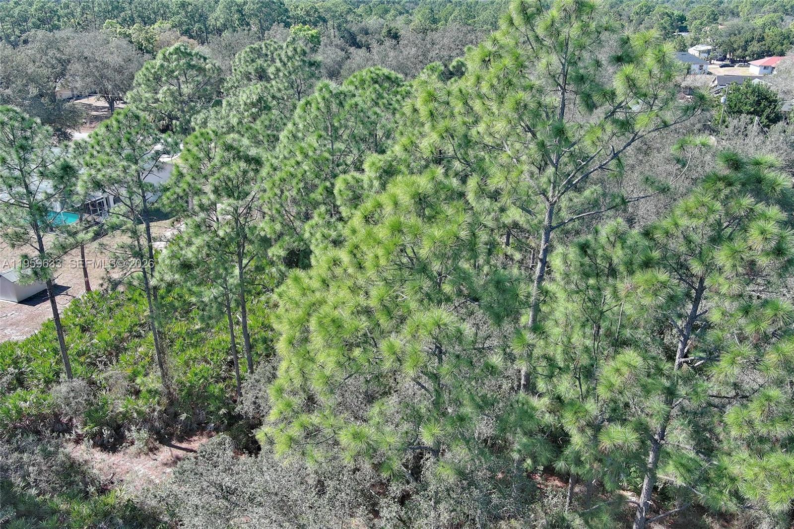 LEHIGH ACRES - Land