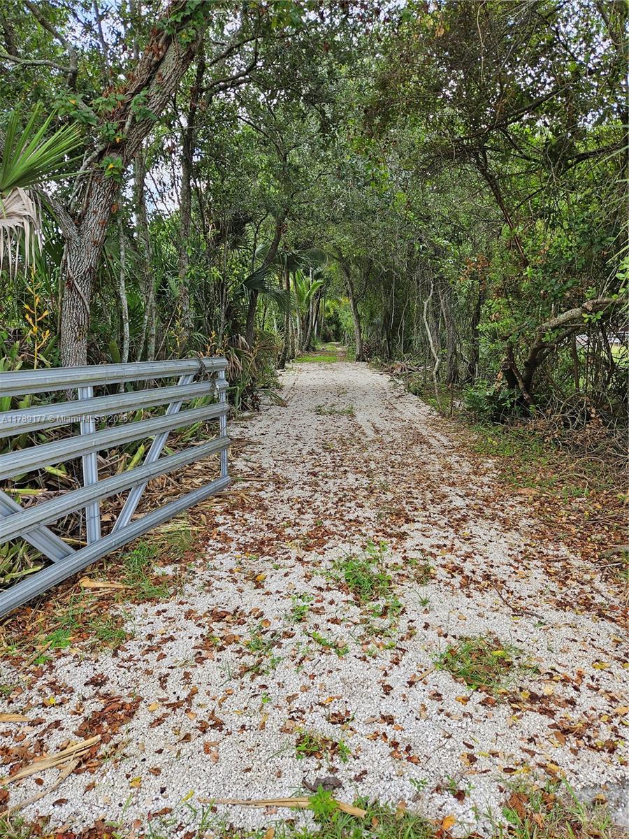 Buildable Acreage.
Unique opportunity to build a home in less than 5 acres and landscaped for the ultimate privacy!
Homesite has been cleared.
- Build your Custom Home here!
- A great place to live and grow your own food!
- 2 miles from Homestead General airport.
- Originally grandfathered, now with full zoning approval CONFIRMED by Miami-Dade county zoning hearing.
- Mature organic Coconut trees of Malayan Dwarf Variety.
- Private driveway, leads you to this subtropical paradise. Lot size 330x330.
- Buildable 2.67 acres.
- Water well and electricity at property.
- Proof of Funds required for showing.