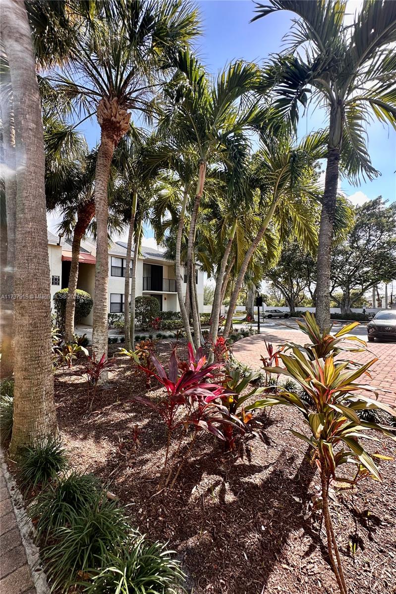 CLEAR LAKE CLUB CONDO - Residential