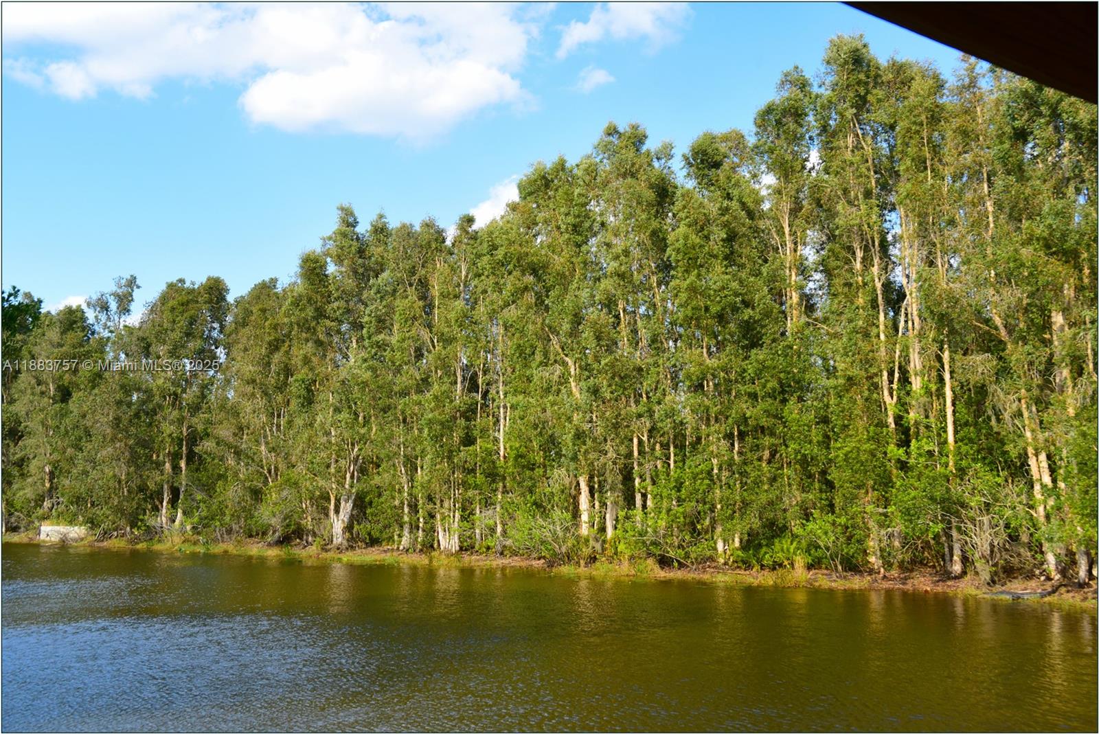 Indian Lake Eststes - Land