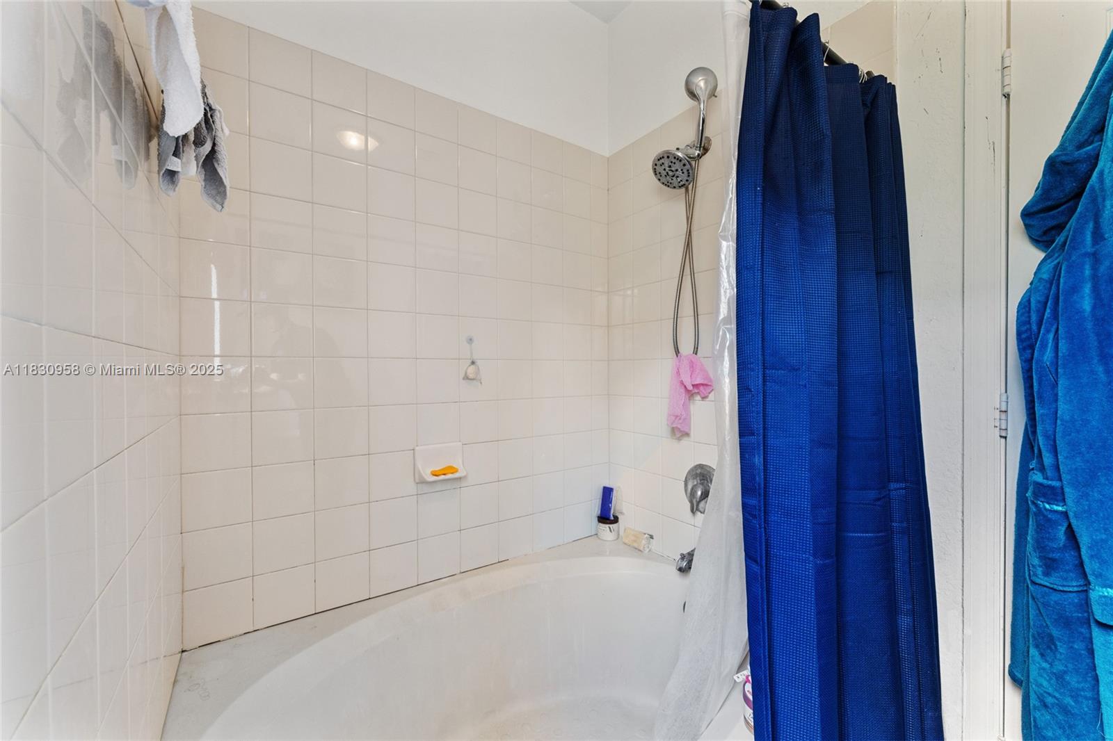 SILVER PALM LAKE - Residential