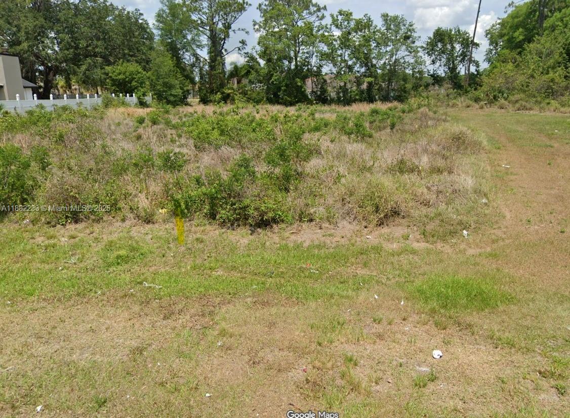 POINCIANA VLG 1 NBHD 3 EAS - Land