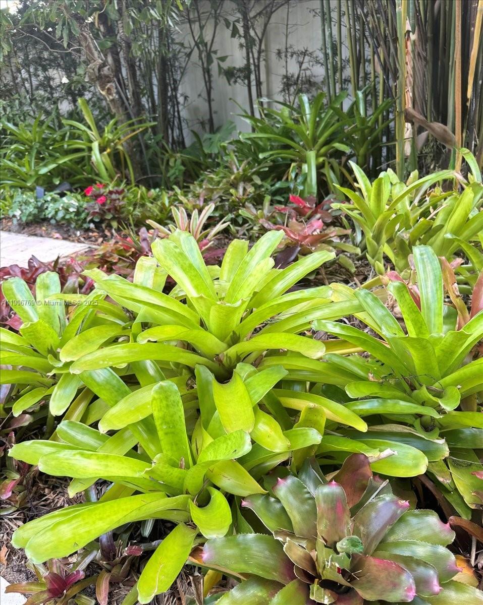 CHAMPION LAKES - Residential