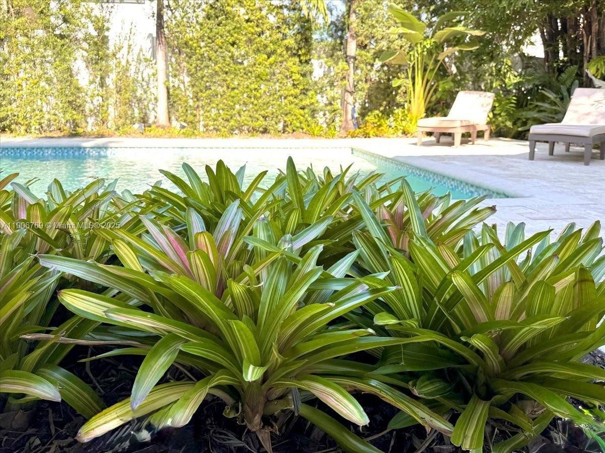 CHAMPION LAKES - Residential