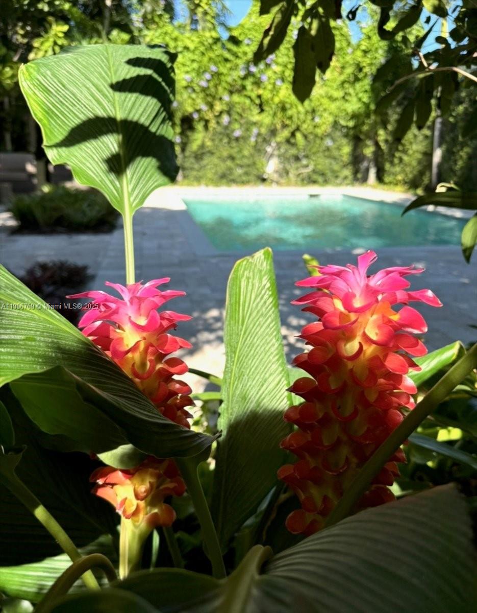 CHAMPION LAKES - Residential