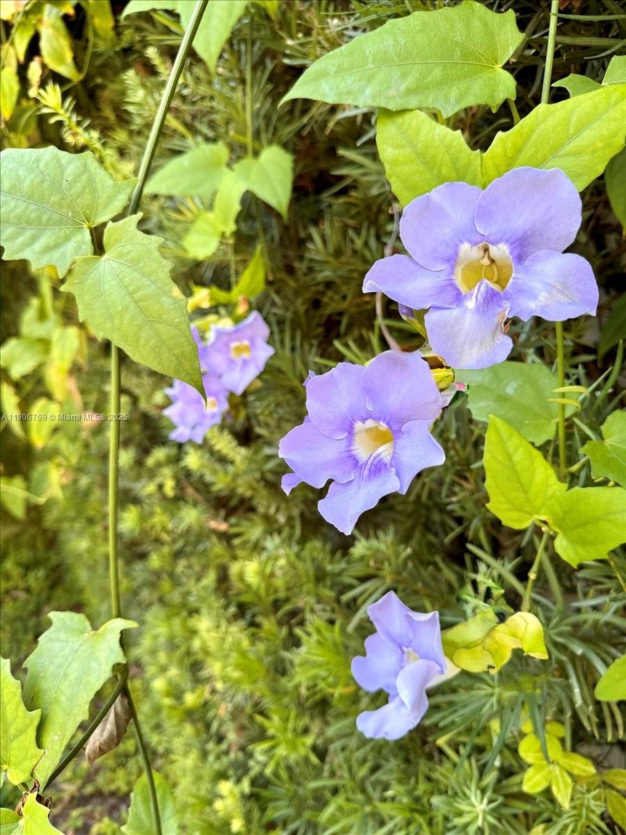 CHAMPION LAKES - Residential