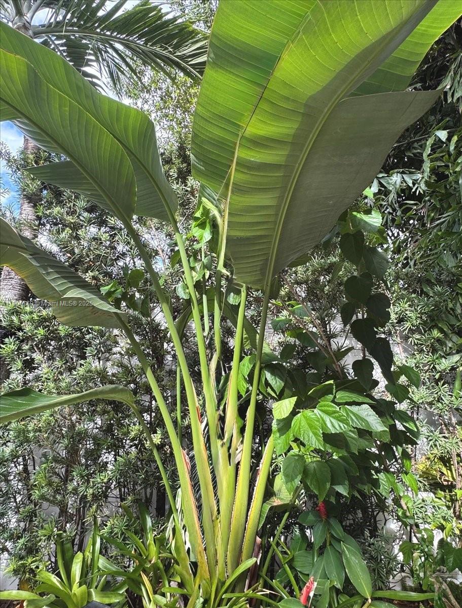 CHAMPION LAKES - Residential