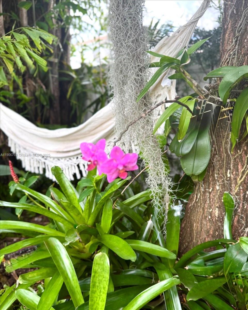 CHAMPION LAKES - Residential