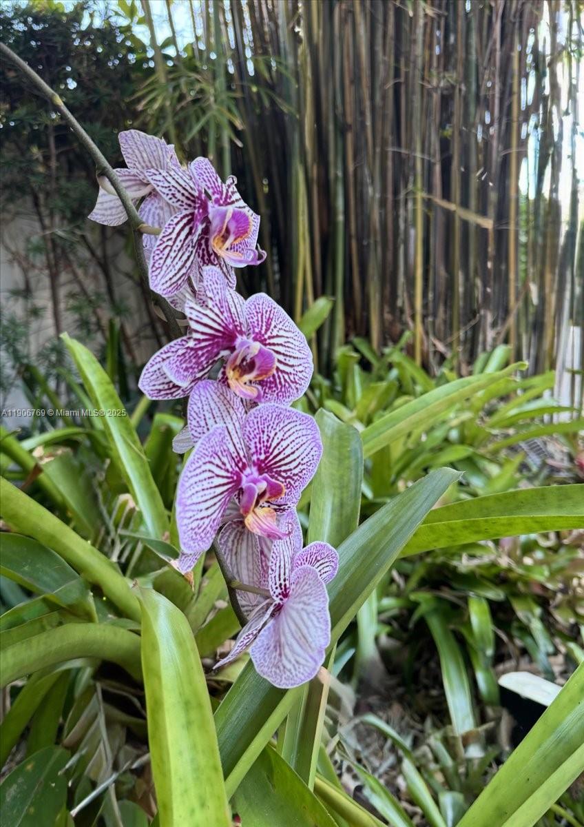 CHAMPION LAKES - Residential