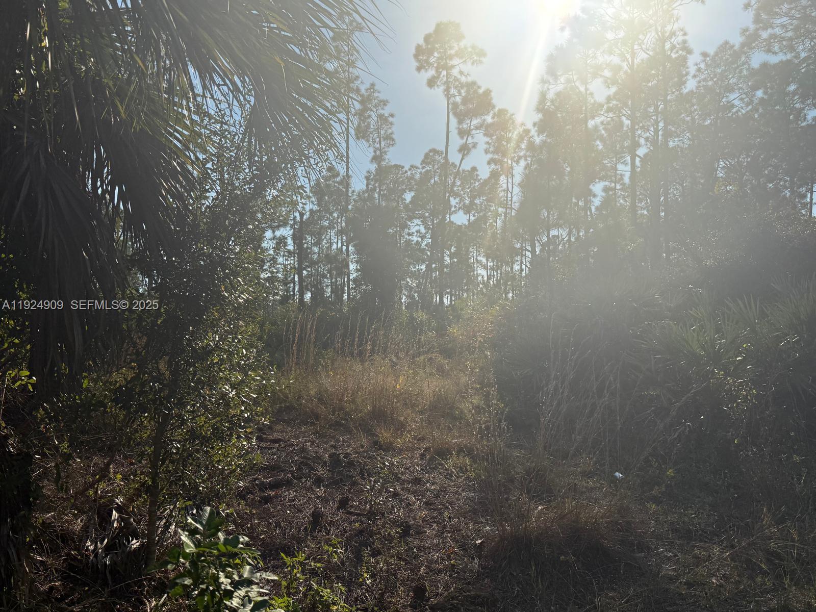 1088/1090 Ainsworth ST E