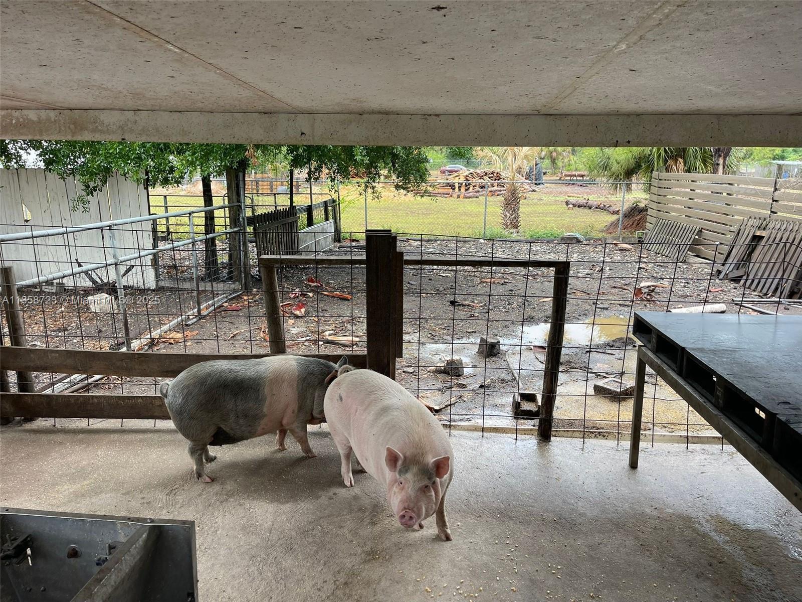 MONTURA RANCH ESTATES - Residential