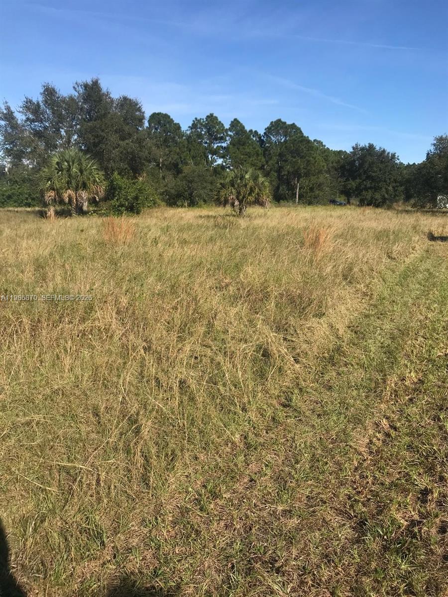 Montura Ranch Estates F - Land