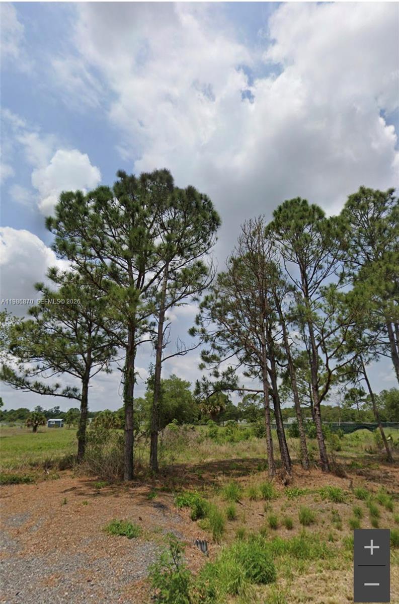 Montura Ranch Estates F - Land