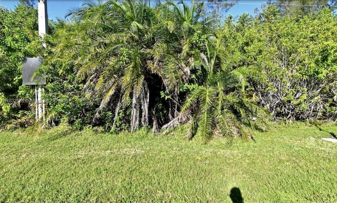 Build to suit on this Great location on A1A. Create your own private oasis in your own piece of paradise. Beautiful scenic drive in this appreciating area. Can be sold with the adjoining parcel mls #A11832720 which is 15,360 square feet. Go see now!