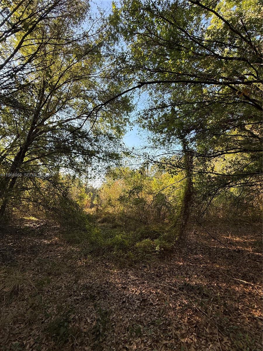 THE WOODLAND S/D - Land