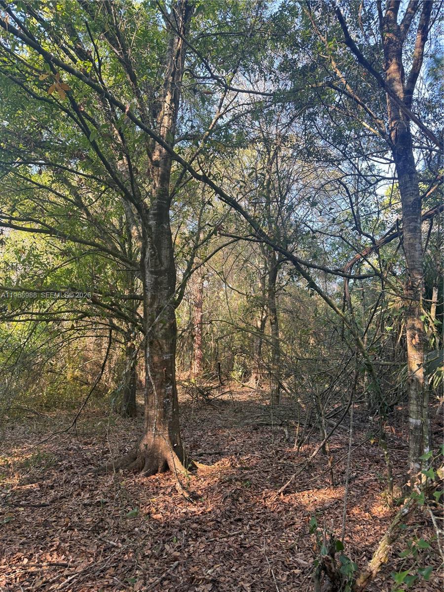 THE WOODLAND S/D - Land