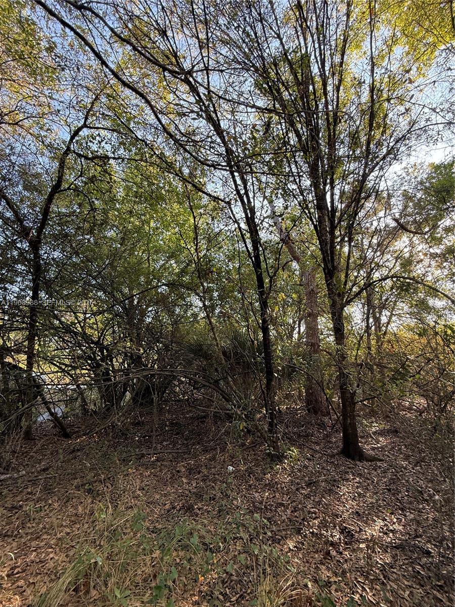 THE WOODLAND S/D - Land