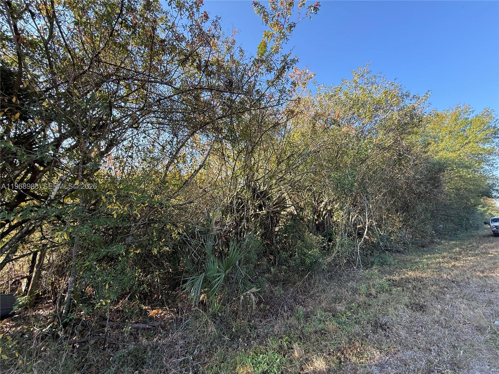 THE WOODLAND S/D - Land