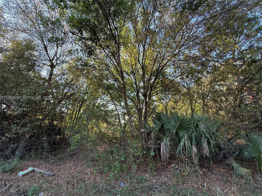 Set in Montura Ranch Estates, a rural Clewiston community near Lake Okeechobee in Hendry County, this 1-acre lot offers the space and freedom buyers look for—no HOA rules and no deadline to build. Located on a main paved road, it’s an easy-to-reach property for a future homesite, weekend getaway, or long-term hold.

Why buyers like Montura:
Large-lot rural lifestyle
Bring your animals, start a garden, plant fruit trees
Build when you’re ready