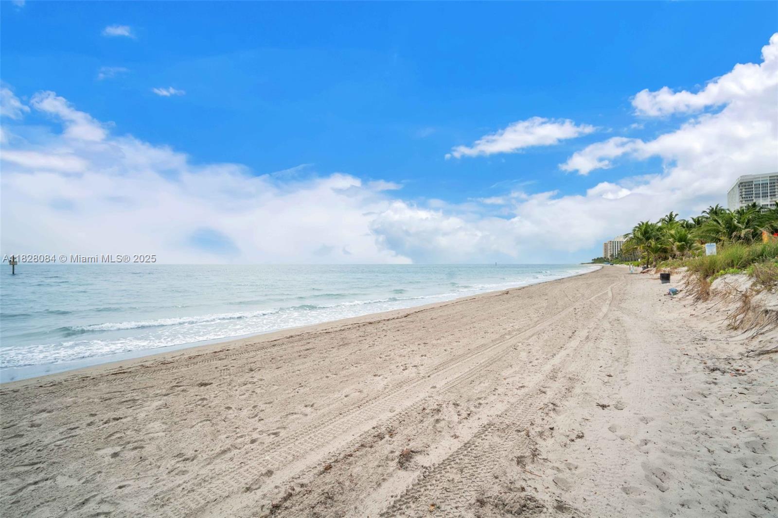 SANDS OF KEY BISCAYNE CON - Residential Lease