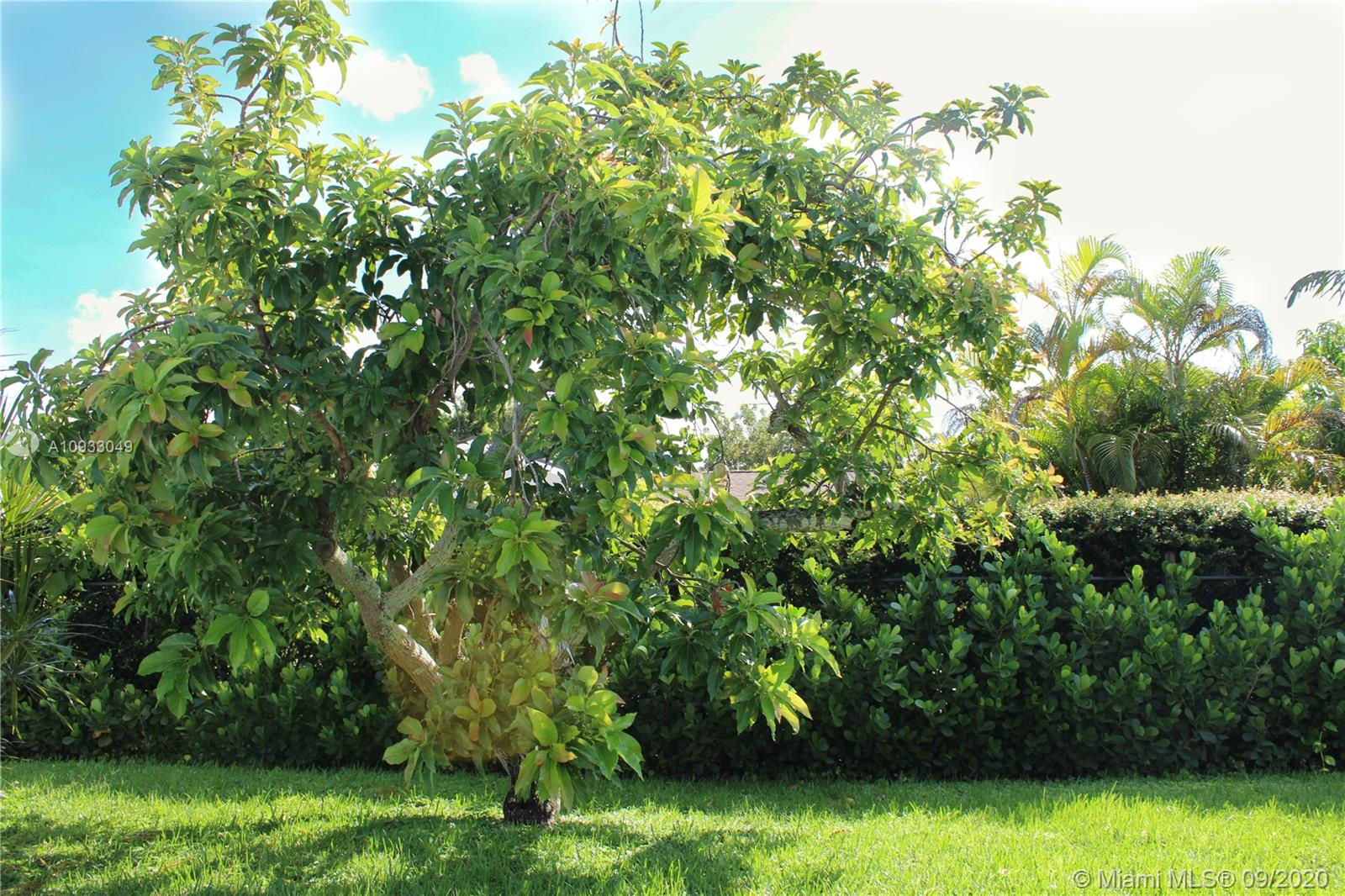 PINE SHORE SEC FIVE - Residential