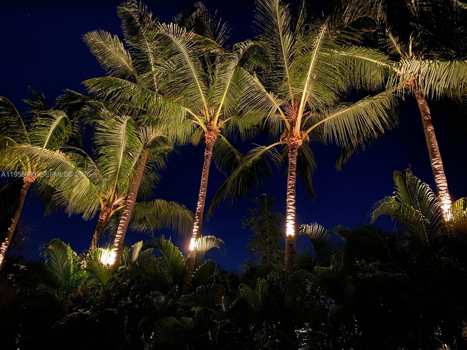 NEW BELLE MEADE - Residential