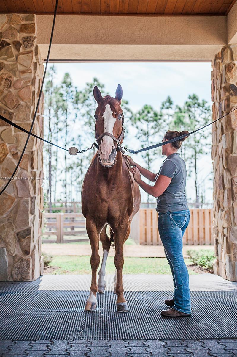 Ranch Colony - Residential