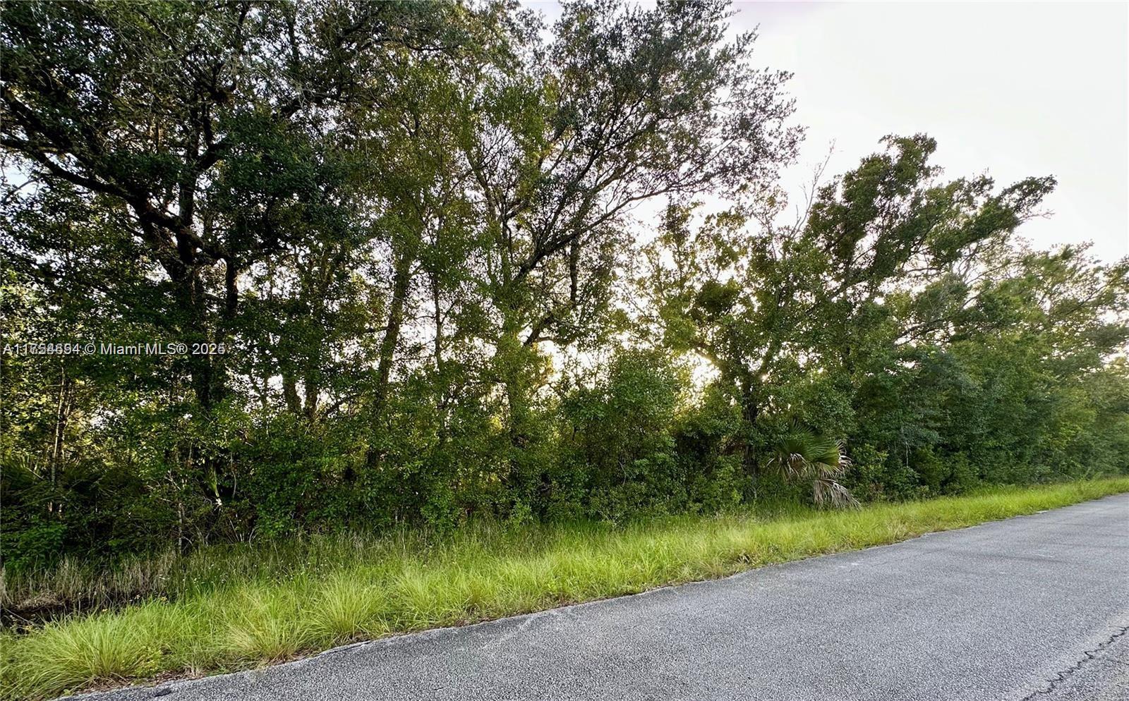 LAKE MONTAZA ESTATES - Land