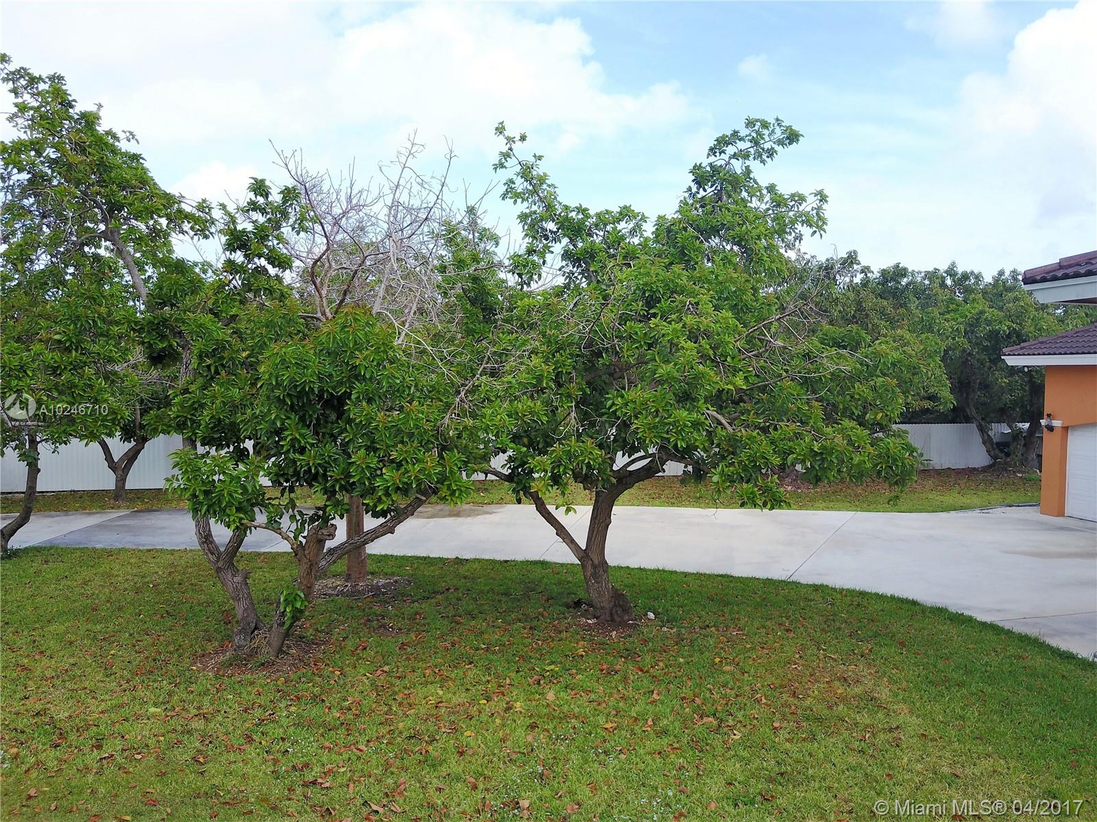 Redland Acres Avocado Hom - Residential