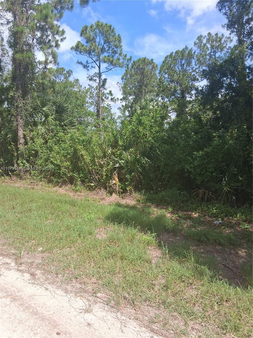 Excellent Opportunity to build your home in an area with other new construction homes being built. Just a short driver to Fort Myer aiport.