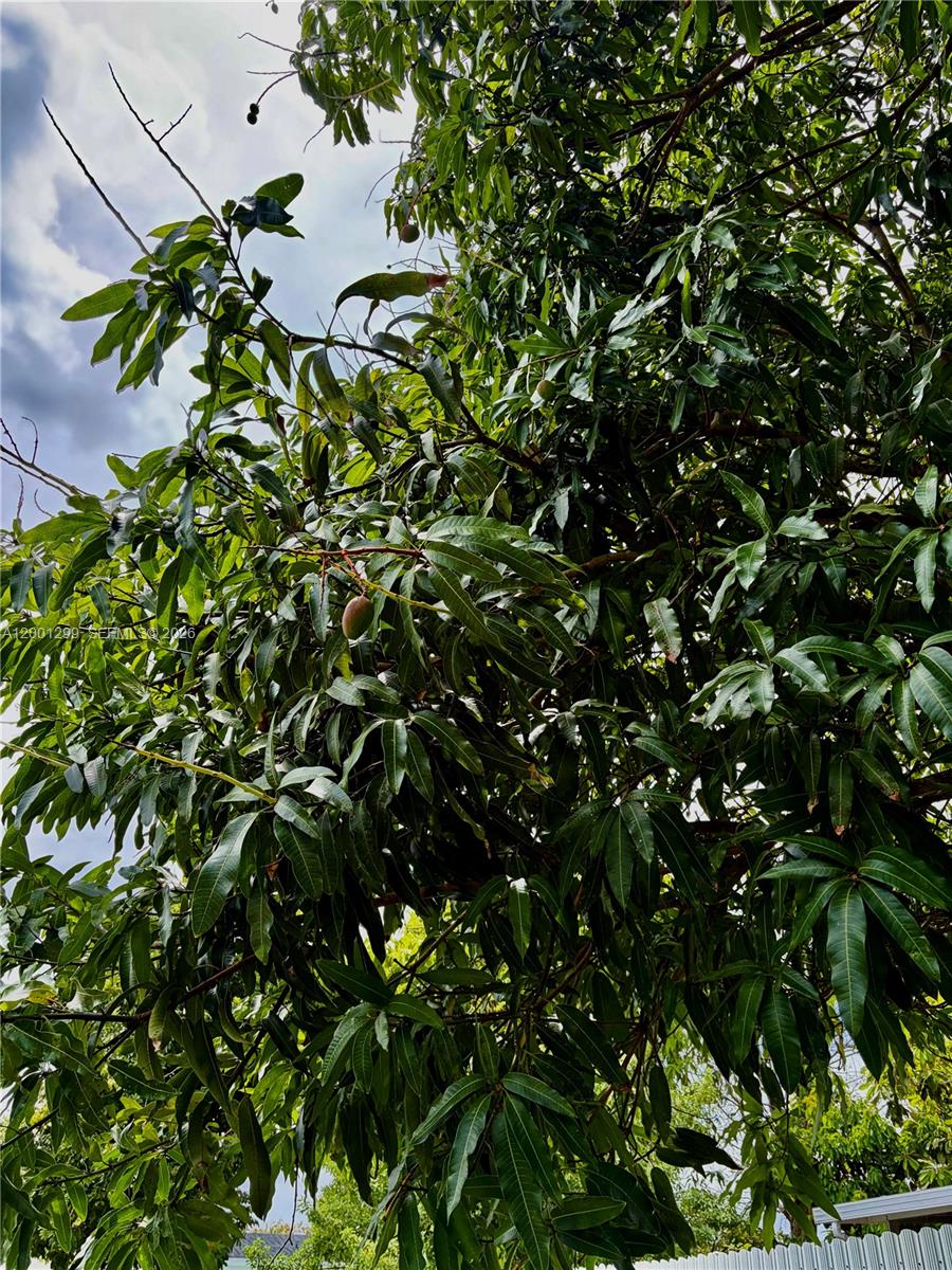 SOUTH MIAMI HEIGHTS ADDN - Residential